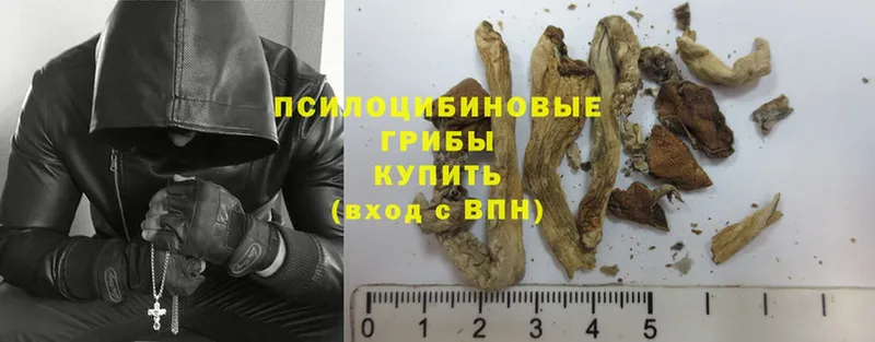 продажа наркотиков  Киржач  Псилоцибиновые грибы Magic Shrooms 